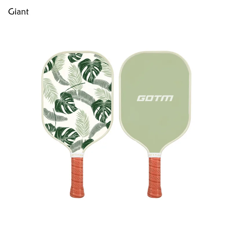 2 Rackets 2 Protective Covers 4 Ballsnovice and Beginner Durable Carbon Fiber Pickleball Paddle College Student Club