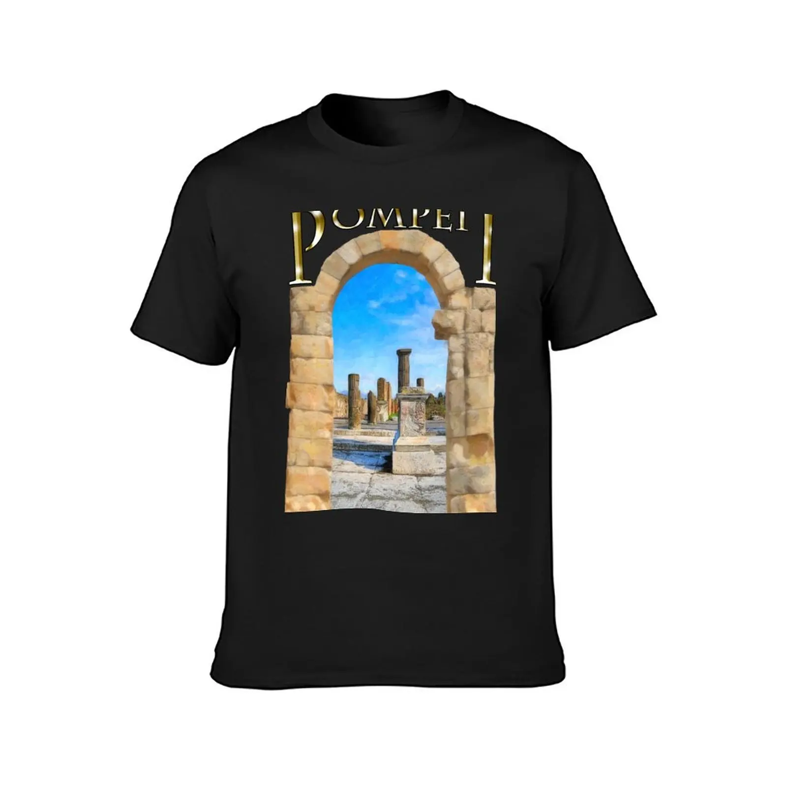 The Ruins Of Ancient Pompeii T-Shirt korean fashion funnys plain sweat plain black t shirts men