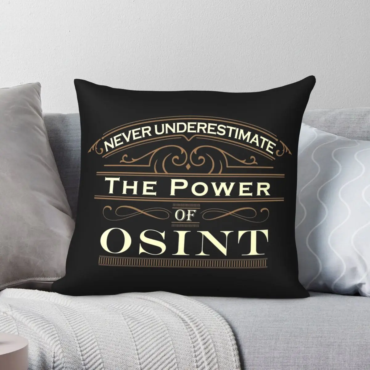 The Power Of OSINT Square Pillowcase Polyester Linen Velvet Pattern Zip Decor Home Cushion Case 18