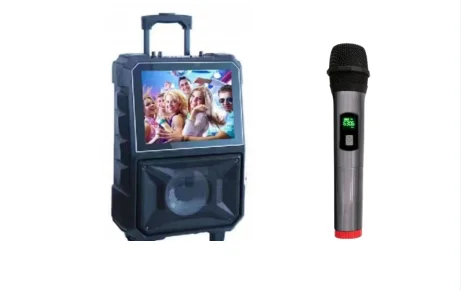 14-Inch Blue Tooth Wireless Speaker LCD Screen Portable Audio Player Karaoke Player Bluetooth Outdoor Trolley Accessory Included