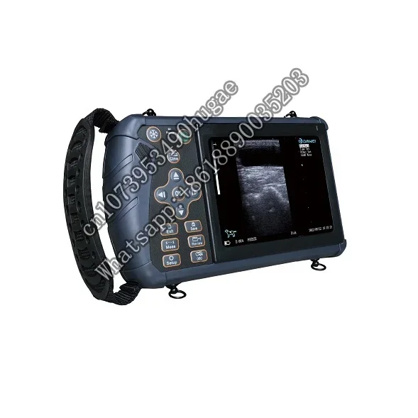 

Handheld Veterinary Atlas of Equine Diagnostic Ultrasonography Ultrasound System Machine