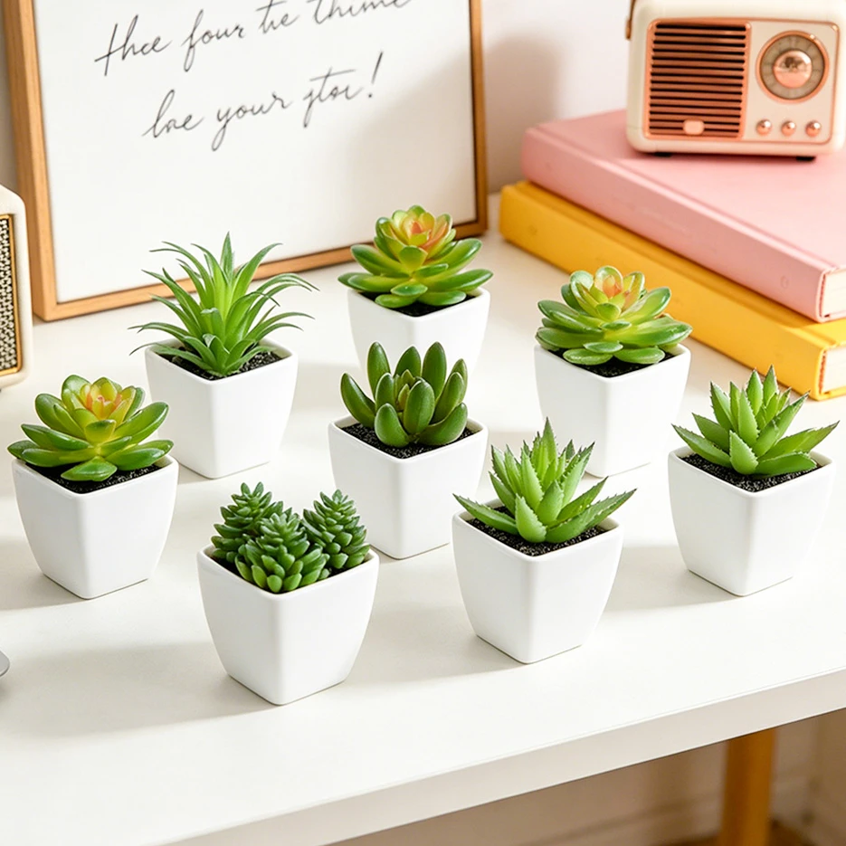 6 Piezas de Plantas Suculentas - Bonsai Garden Restaurant reseña y precio