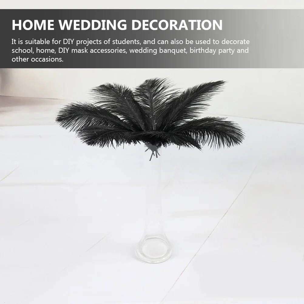 

20pcs Black Natural Ostrich Diy Craft Wedding Party Home Decorations Bulk Long For Vase Floral Arrangements