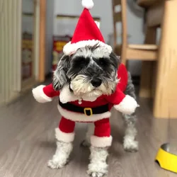 Dog Christmas Costume Santa Claus Dog Costume Winter Puppy Pet Cat Coat Jacket Pet Hooded Sweatshirt Happy New Year Xmas Cosplay