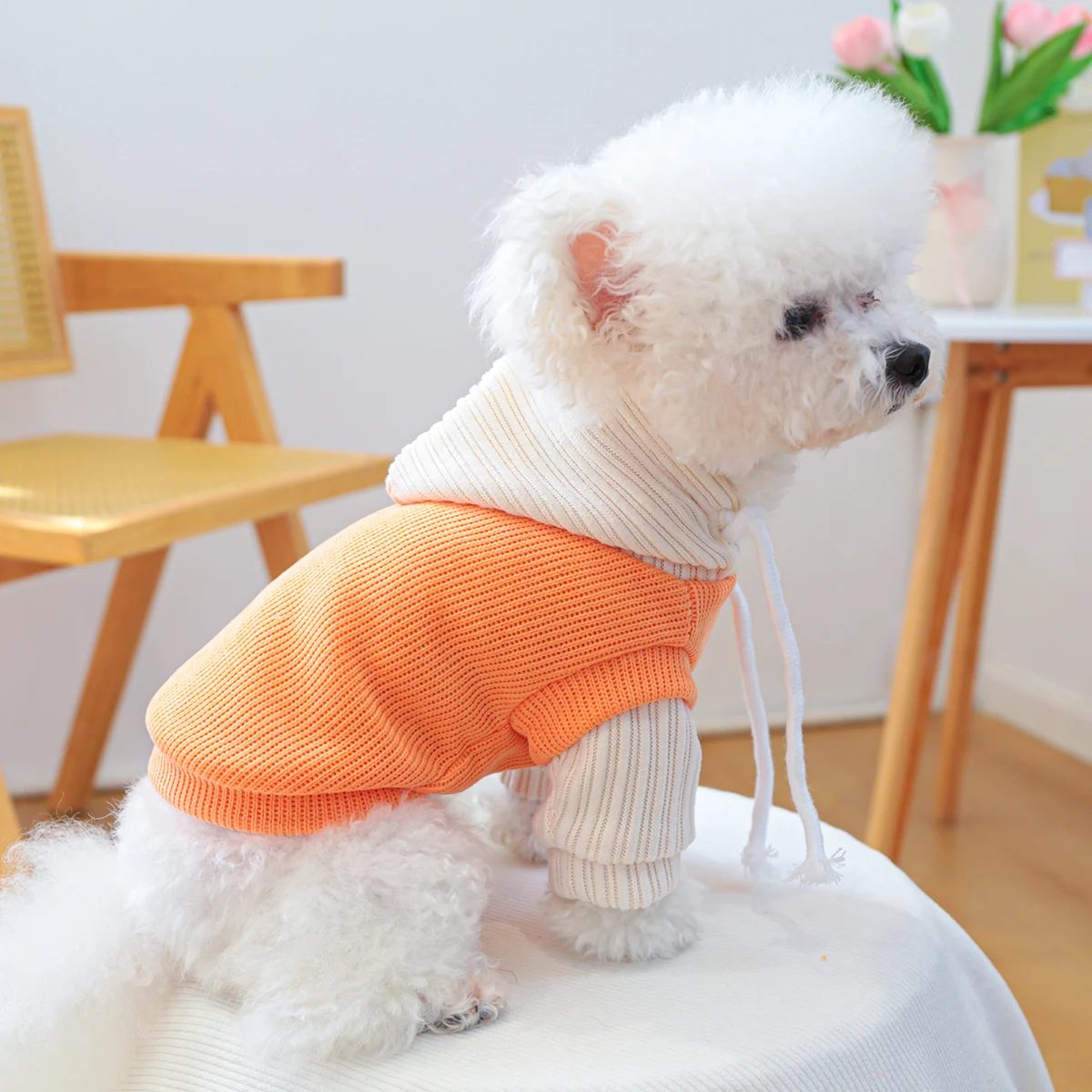 1PC Pet Clothing Cat Spring and Autumn Orange Planet Hoodie Hat Coat Suitable for Small and Medium sized Dogs