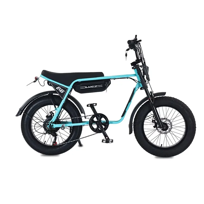 

STLF US Warehouse Practical Hot Sale 20" Fat Tire Off Road Bicycle Mountain Bike for Adult City Travel Electric Dirt E Bike