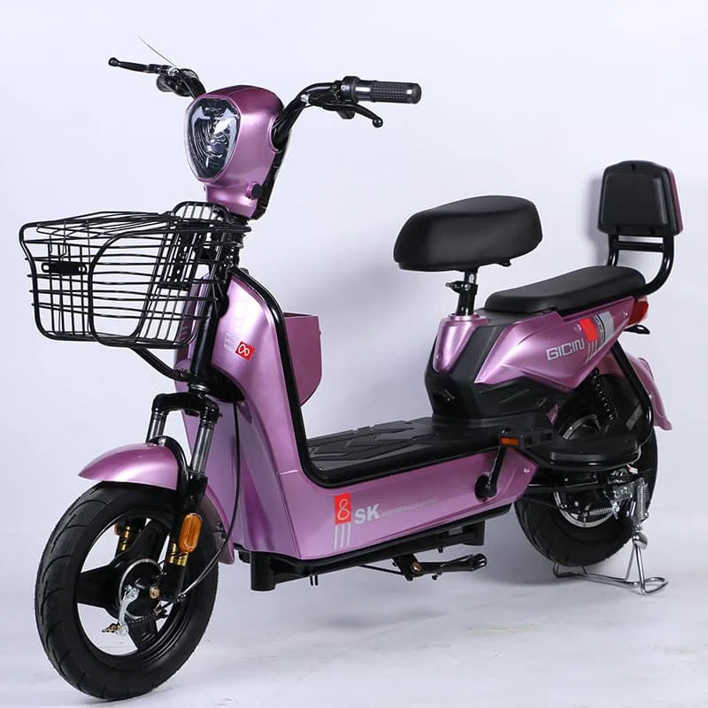 48V 350W Electric Moped Scooter 14 Inch Vacuum Tire 2 Seats Electric Bike Electric Bicycle for Adults