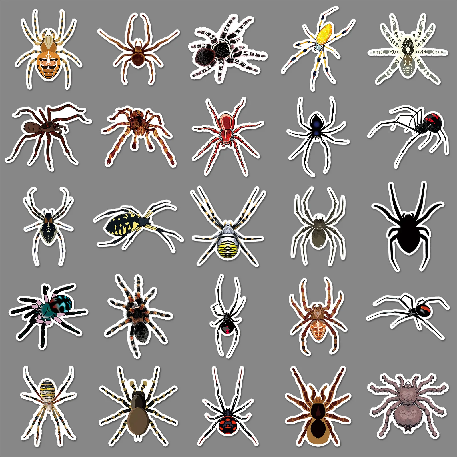 10/30/50PCS Personalized Cartoon Insect Spider Sticker Graffiti Decorative Water Cup Stationery Box Laptop Luggage Sticker