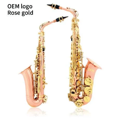 

Professional Performance of Alto Saxophone in Brass Flat B-key, Playing Saxophone Wind Instruments f
