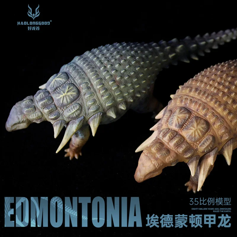 

Аутентичные хорошие долины дракона Edmonton Ankylosaurus Динозавр Юрского периода Животное Детская игрушка Подарочная модель Орнамент 1/35