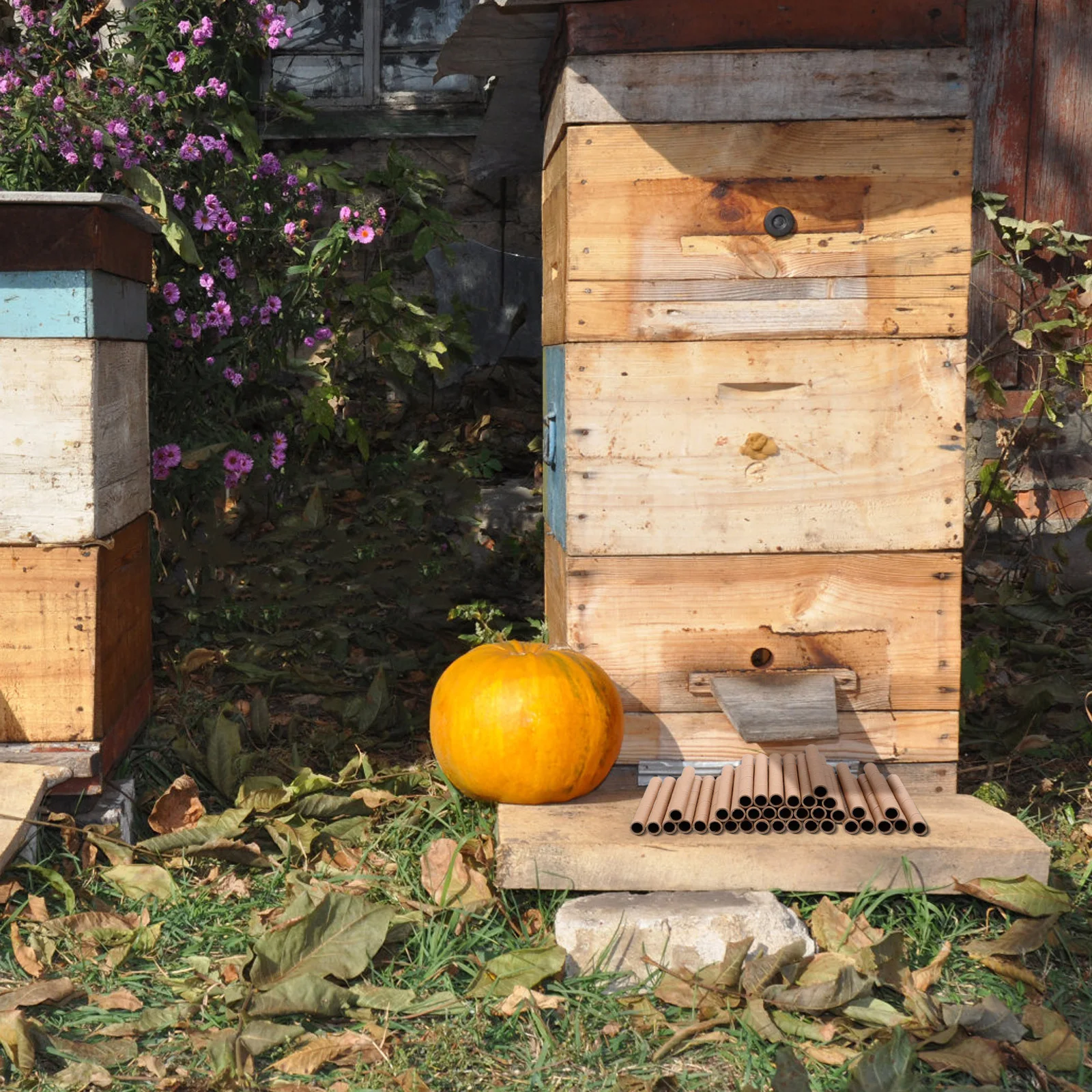 

200Pcs Honeycomb Paper Tubes Premium Craft Rolls for DIY Bees House Making Realistic Nest Filling Sturdy Multipurpose Craft