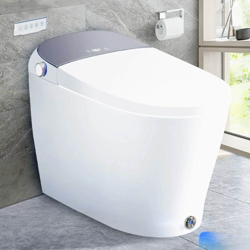 

Smart Toilet Heated Seat,Off-seat Auto Flush,Foot Kick Flush,Blackout can Flush,Warm Wash,One piece Toilet with Bidet built in