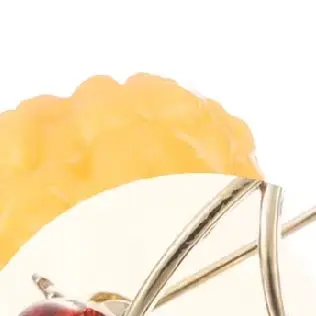 脂肪レプリカ脂肪組織モデル人体脂肪レプリカ1ポンド人体脂肪組織デモンストレーションモデル栄養士科学コース用