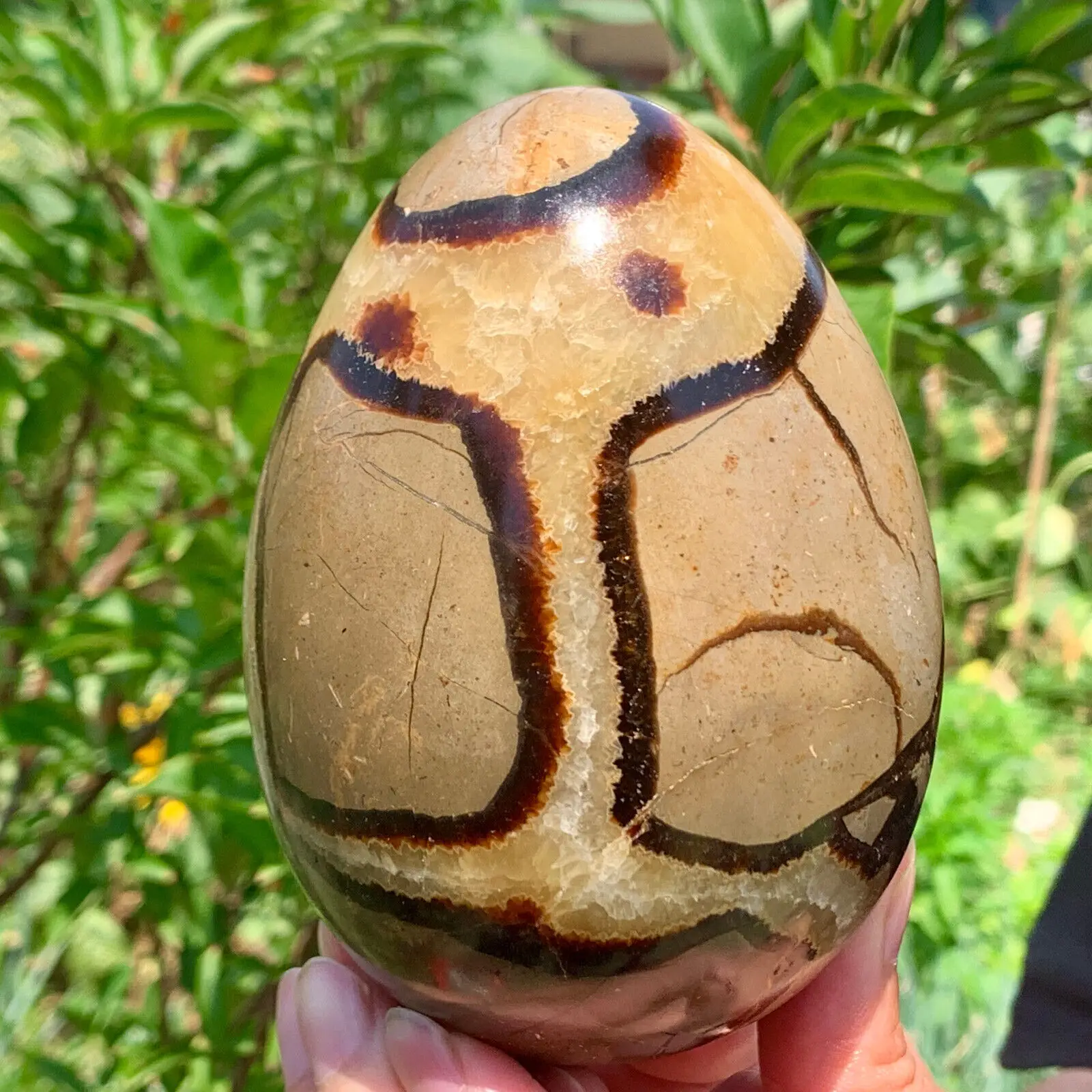 Natural Turtleback Stone Hand Carved Dinosaur Egg Crystal Ore Energy Home Office Decoration Craft Gifts Mineral Healing