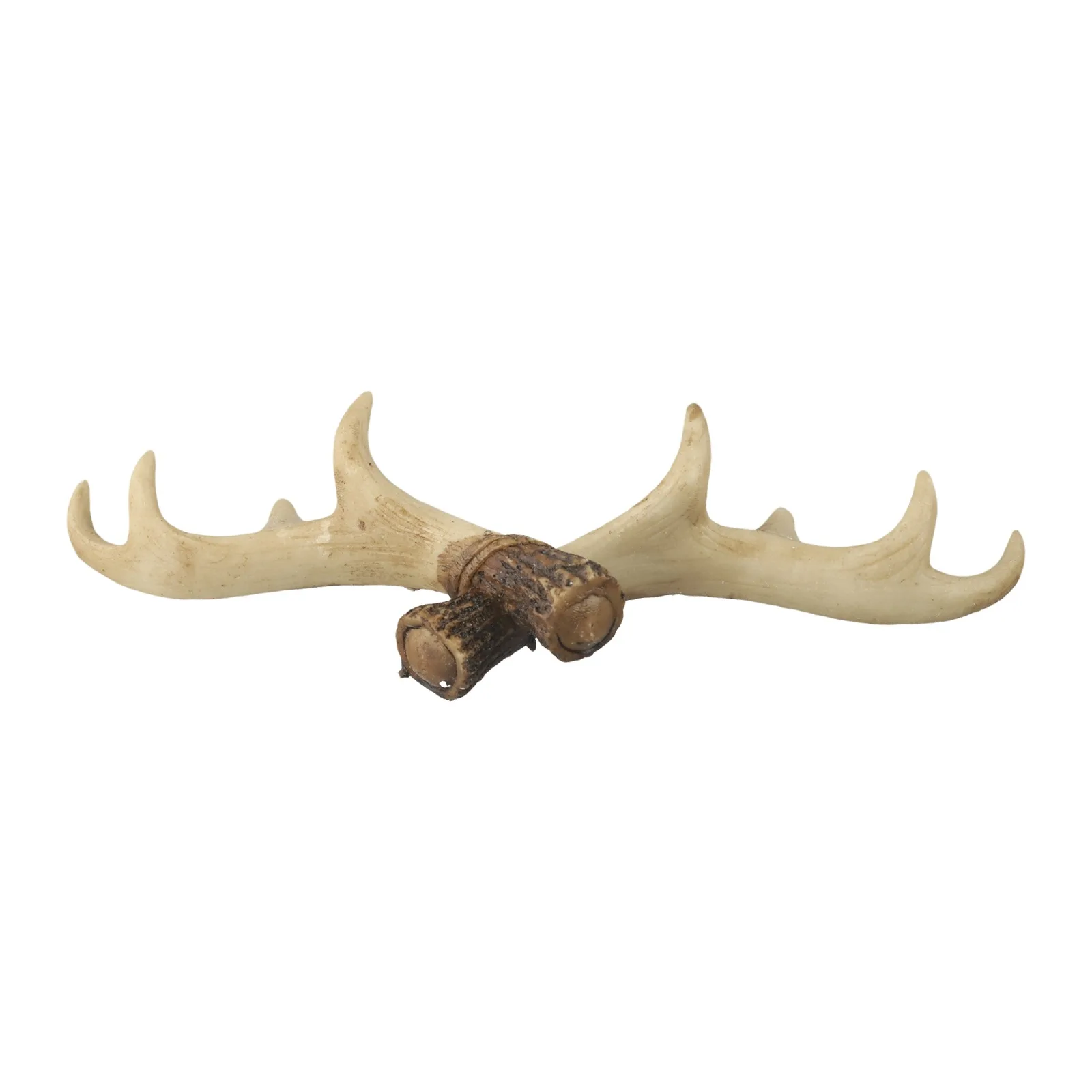 Antler Wall Hanging Resin Decorative Hook 28 X 9.5cm Color Variation High-quality Resin Long-lasting Perfect Size