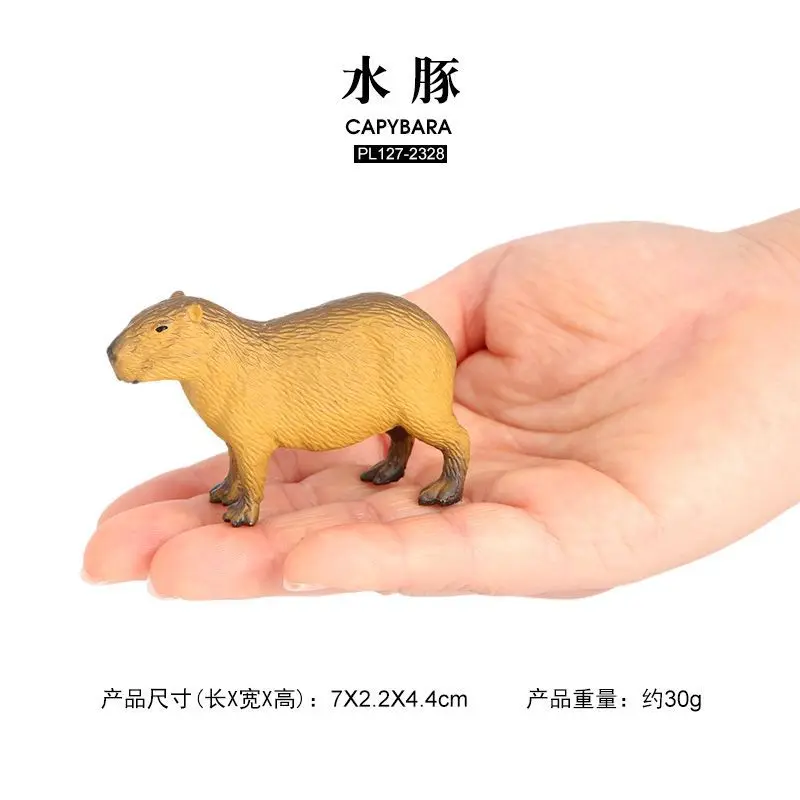 Children Simulation Capybara Wildlife Model Static Solid Plastic Dolphin Toy Model Children Enlightenment Cognitive Ornaments