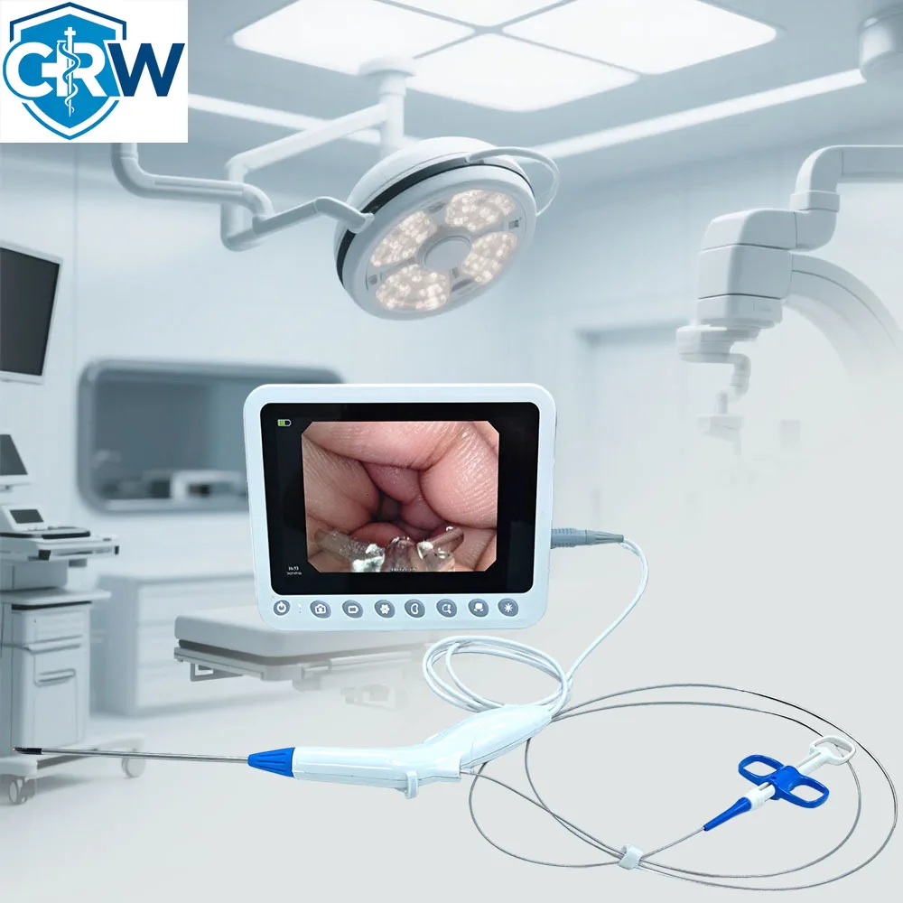 CRW Disposable Digital Hysteroscope with Real-Time Imaging Easy-to-Operate   Instrument for for Veterinary Gynecological