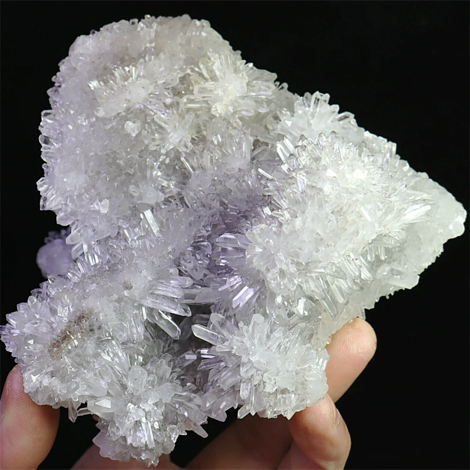 Newly Discovered Transparent Natural White Chrysanthemum Crystal Cluster Quartz Specimen