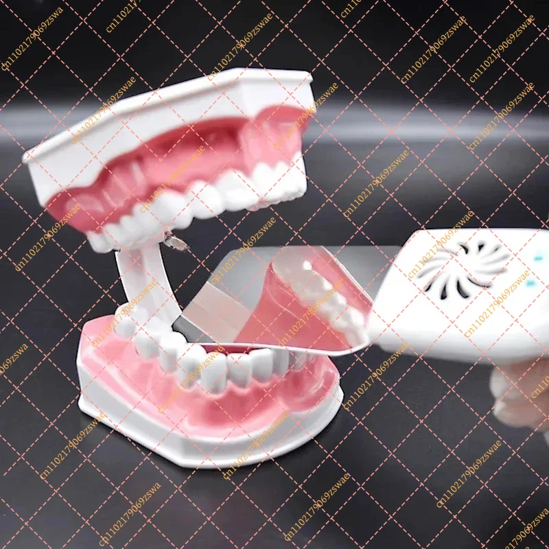 Anti-Fog Orthodontic Mirror with Light, Double-Sided Stainless Steel Intraoral Mirror for Dental Photography