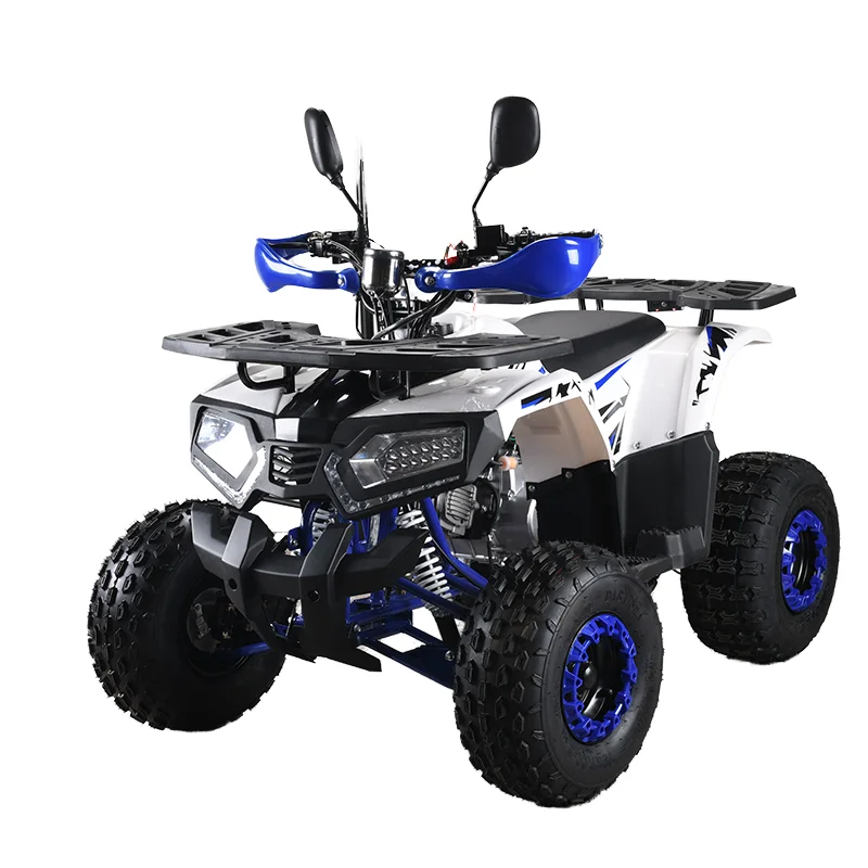 110cc CE EPA ATV Adult 4-Whee - Outdoor Adventure Quad Biking review and price
