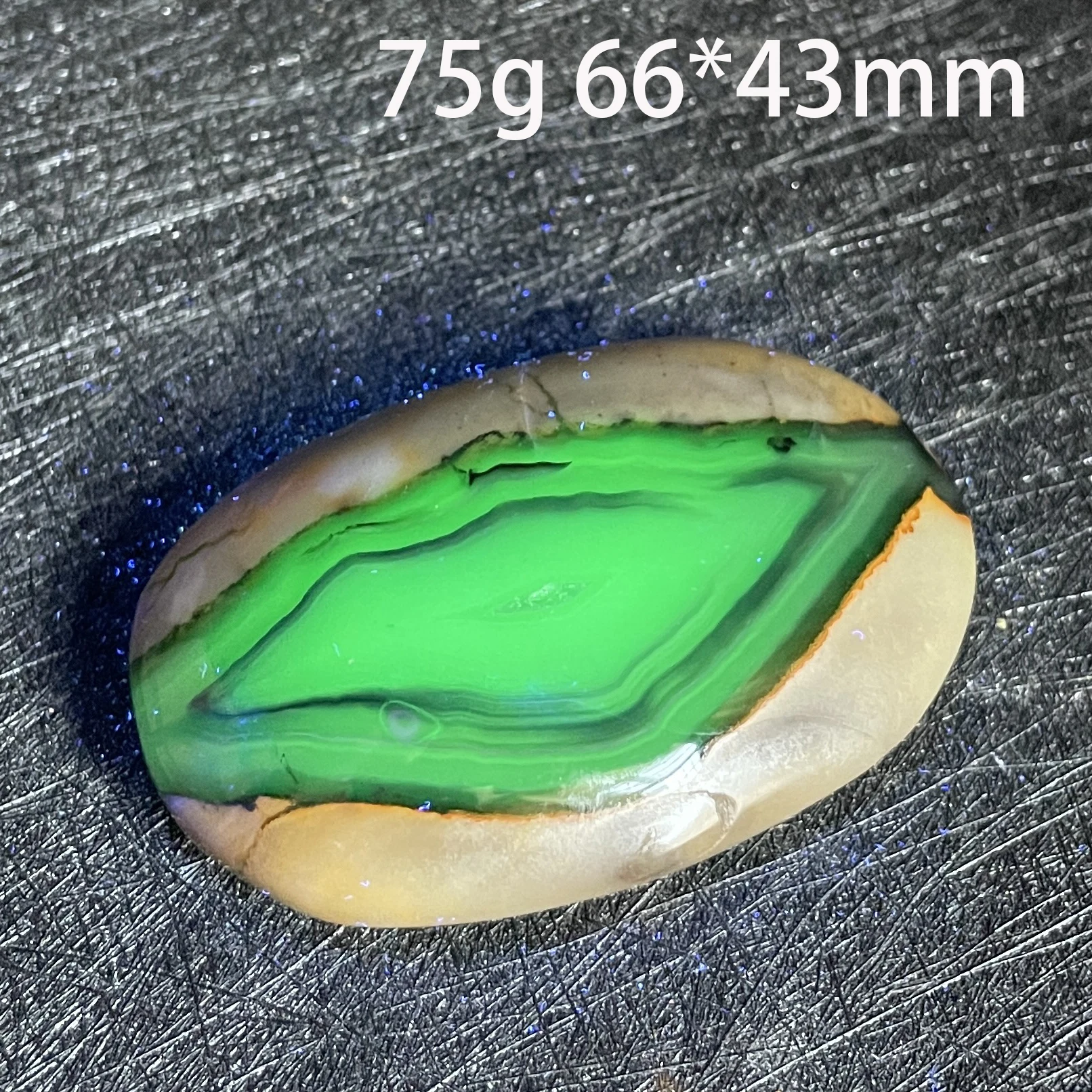 Natural fluorescence effect Volcanic Agate Crystal Palm Stone Energy Quartz Polished Rock Reiki Healing Aquarium Gifts Decor