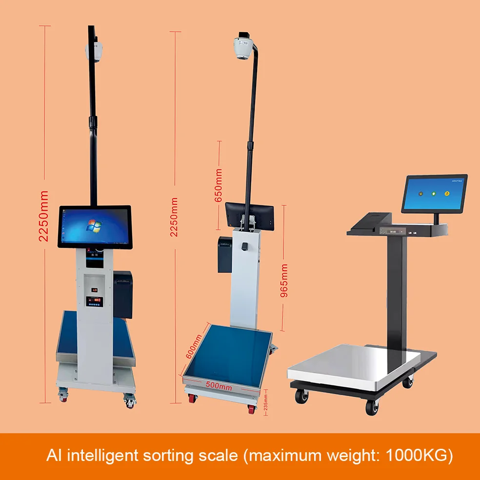 Intelligent Electronic Scale with AI Image Recognition, Sorting Barcode Label Scale, Windows/android SDK/AI Soft