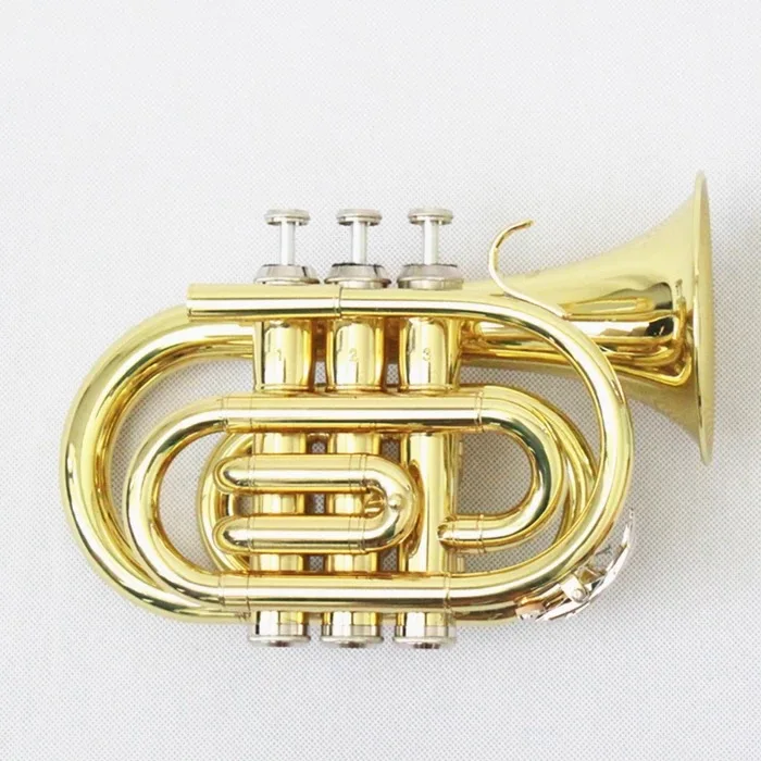 

Wholesale musical instruments Good quality Trumpet instrument Gold Lacquered Cheap pocket trumpet