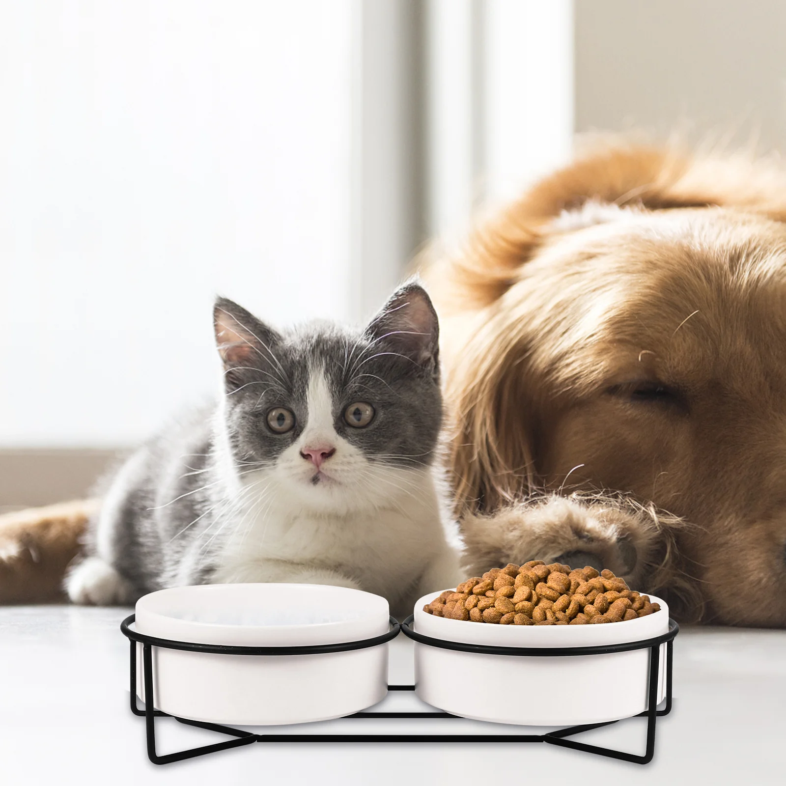 

pet feeder pet bowl with stand cat bowl dog feeder double dog bowls