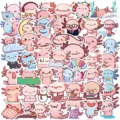 50PCS
