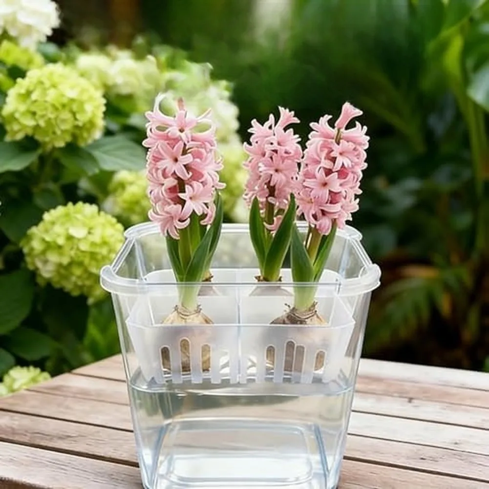 Transparent 4pcs Flower Bulbs Plant Container Gardening Support Basket Soilless Nursery Pot For Vegetables Flowerpot