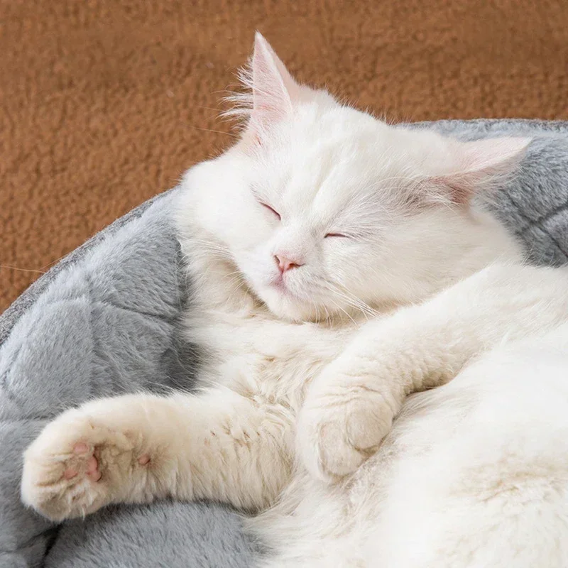 Cuccia per cani per gatti calda per interni Tenda morbida per animali domestici Letto per grotta Cuccia per gatti per sonno profondo con cuscino rimovibile per letto comodo per cuccioli di gattino