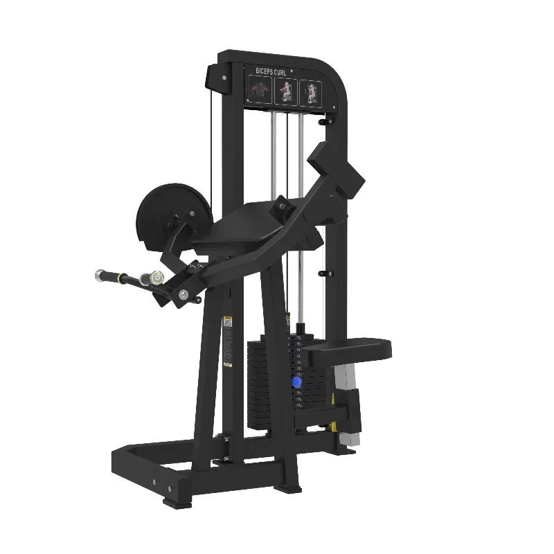 

Preacher Curl Machine for Biceps Isolation and Peak | Seated Biceps Curl Station | Arm Strength Equipment