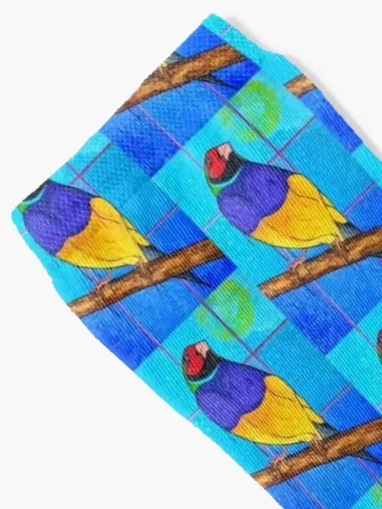 Mr Finch in Isolation Socks luxe christmas gifts summer Women's Socks Men's