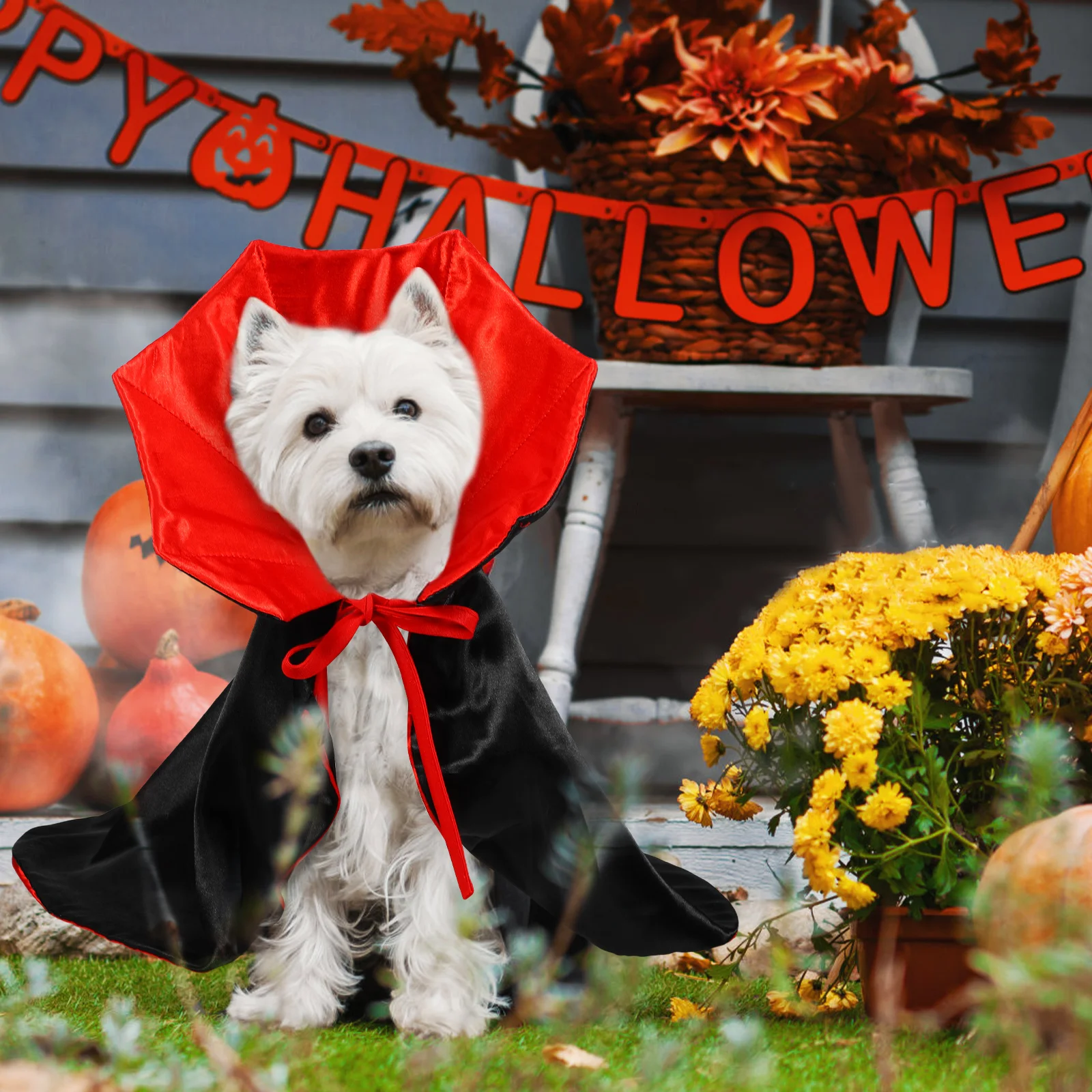 

Pet Holiday Clothing Dog Costume Funny Medium Sized for Cats Cosplay Costumes Large Dogs Big Halloween Polyester Cape