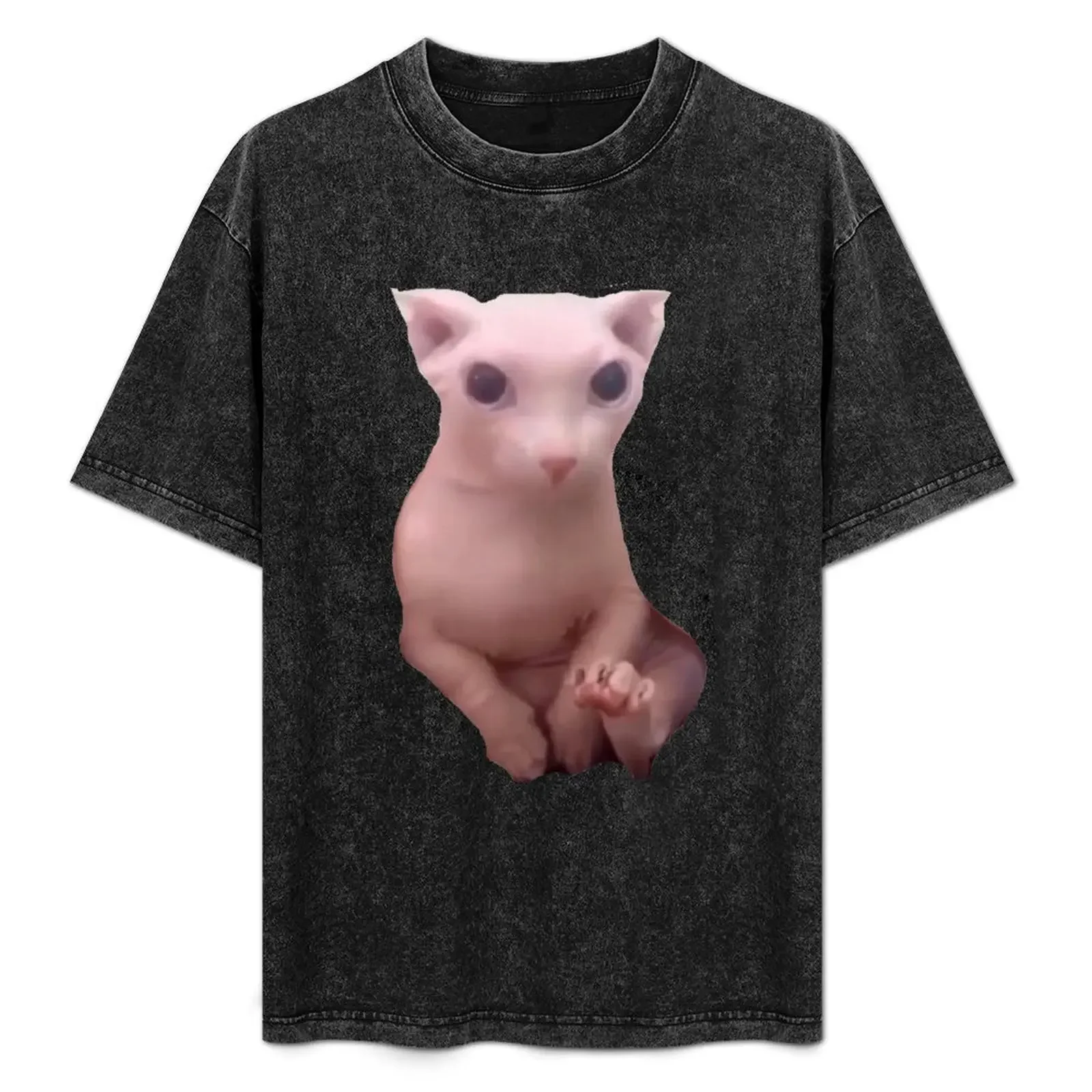 

bingus cat T-Shirt hippie clothes anime korean fashion mens clothing