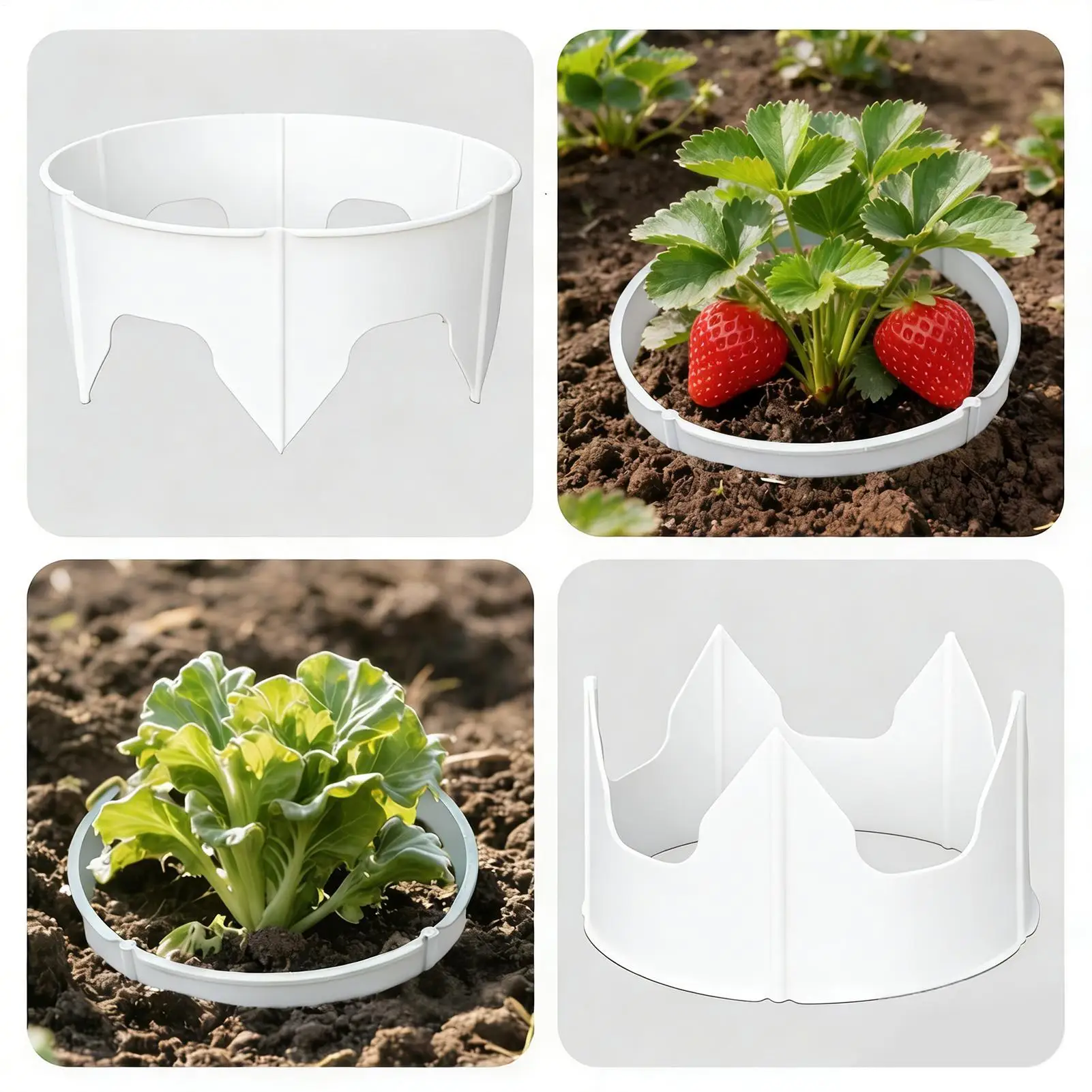 Grow Rings 24 Pieces Deep Watering Circular Reusable Landscape Edging Water Saver Planting Rings Edging For Garden Balcony