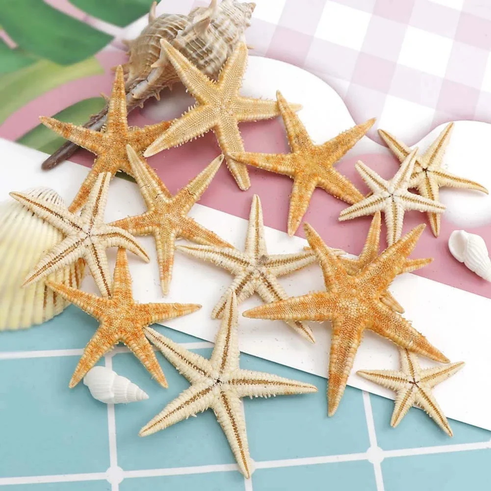 1 Box Starfish Seashell Practical Mixed Starfish Seashell Portable Natural Mixed Reusable Realistic White Star Fish Tank Decor