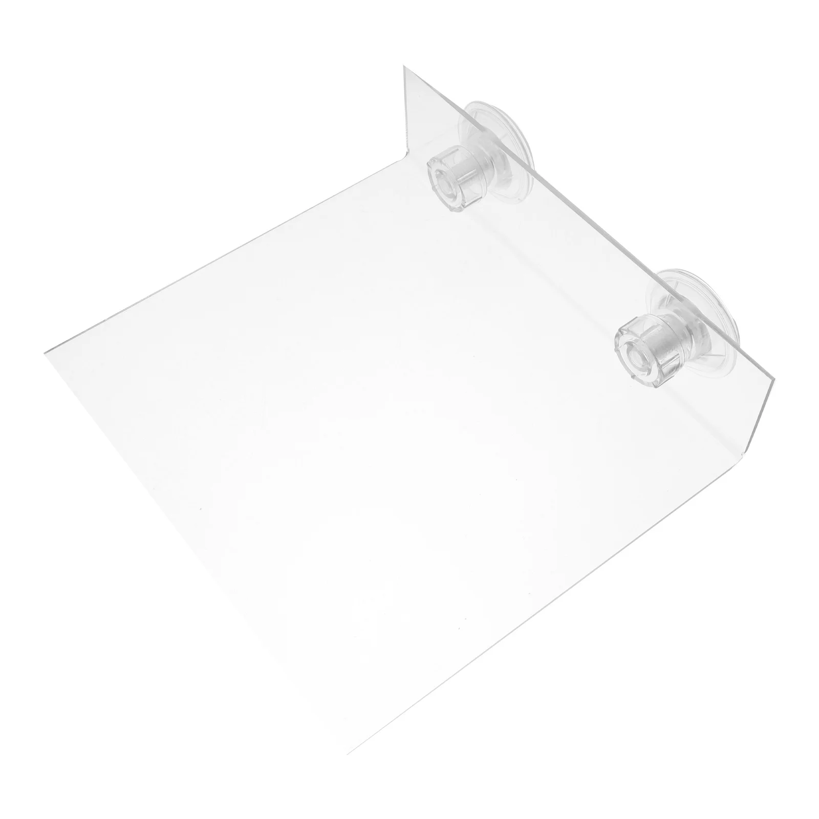 

Bird Perch Platform Suction Cup Ideal for Parrot Shower Stand Window Mount Wall Attachment Lightweight and Stable