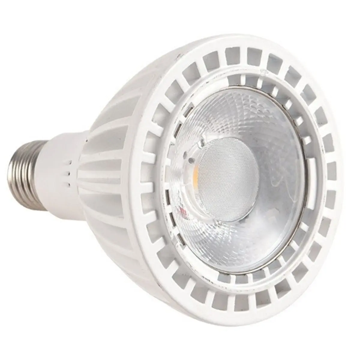 【SPECIAL OFFER】PAR30 LED Spotlight Bulb 30W Warm White for Downlight
