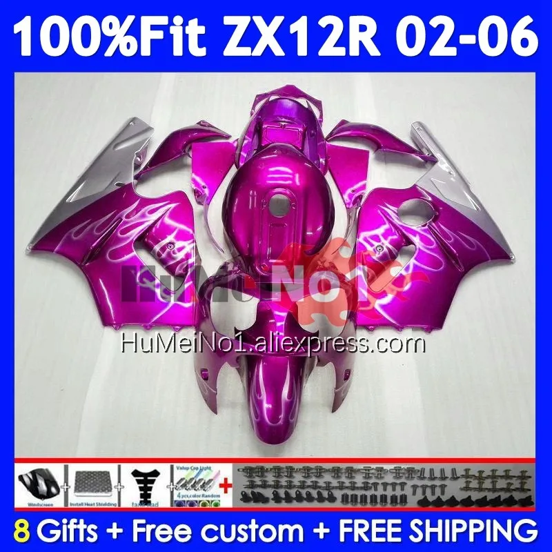 OEM Kit For KAWASAKI NINJA Rose&Flames ZX-12R ZX 12R 1200 226No.63 ZX12R 02 03 04 05 06 ZX1200 2002 2003 2004 2005 2006 Fairing