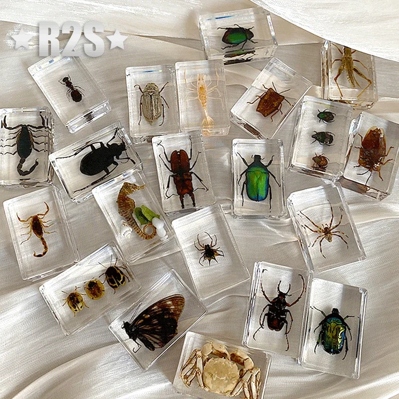 

40 Pcs lot Insect in Resin Specimen Bugs Collection Paperweights Arachnid Resin Spec decoration home accessories random beetles