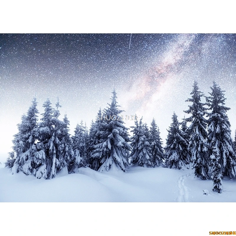 SHUOZHIKE Thin Cloth Photography Backdrops Prop Snow scene Photography Background  2021112XJ-06