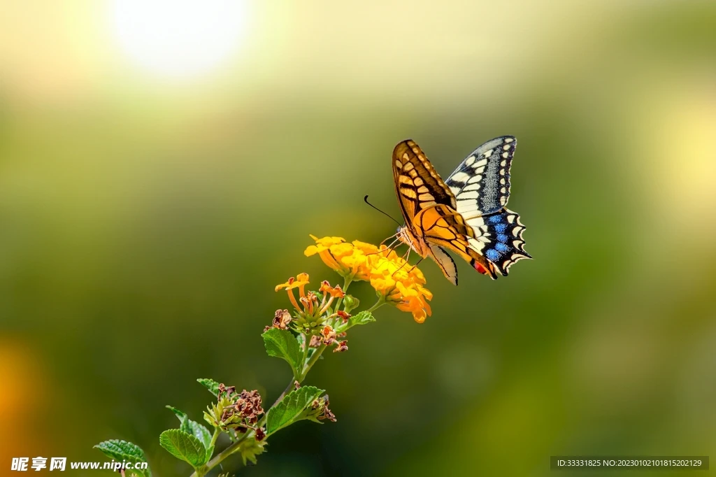 

Aluminium Alloy Super Heavy 1.9" Beadlock Deep Dish Wheel Rim for 1/10 RC Crawler SCX10 TRX4 VS4-10 Gen8 R187