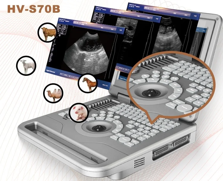 Smart F Vet Portable Pet Veterinary Doppler Animal Full Digital Ultrasound Machine Notebook B/W Ultrasound Scanner