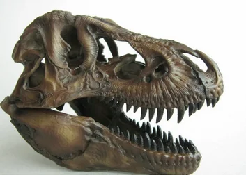 Crafts Arts Crafts 1/12 Tyrannosaurus Rex Dinosaur Skull Handicrafts Resin Fossil Simulation Skull Model For Collectibles