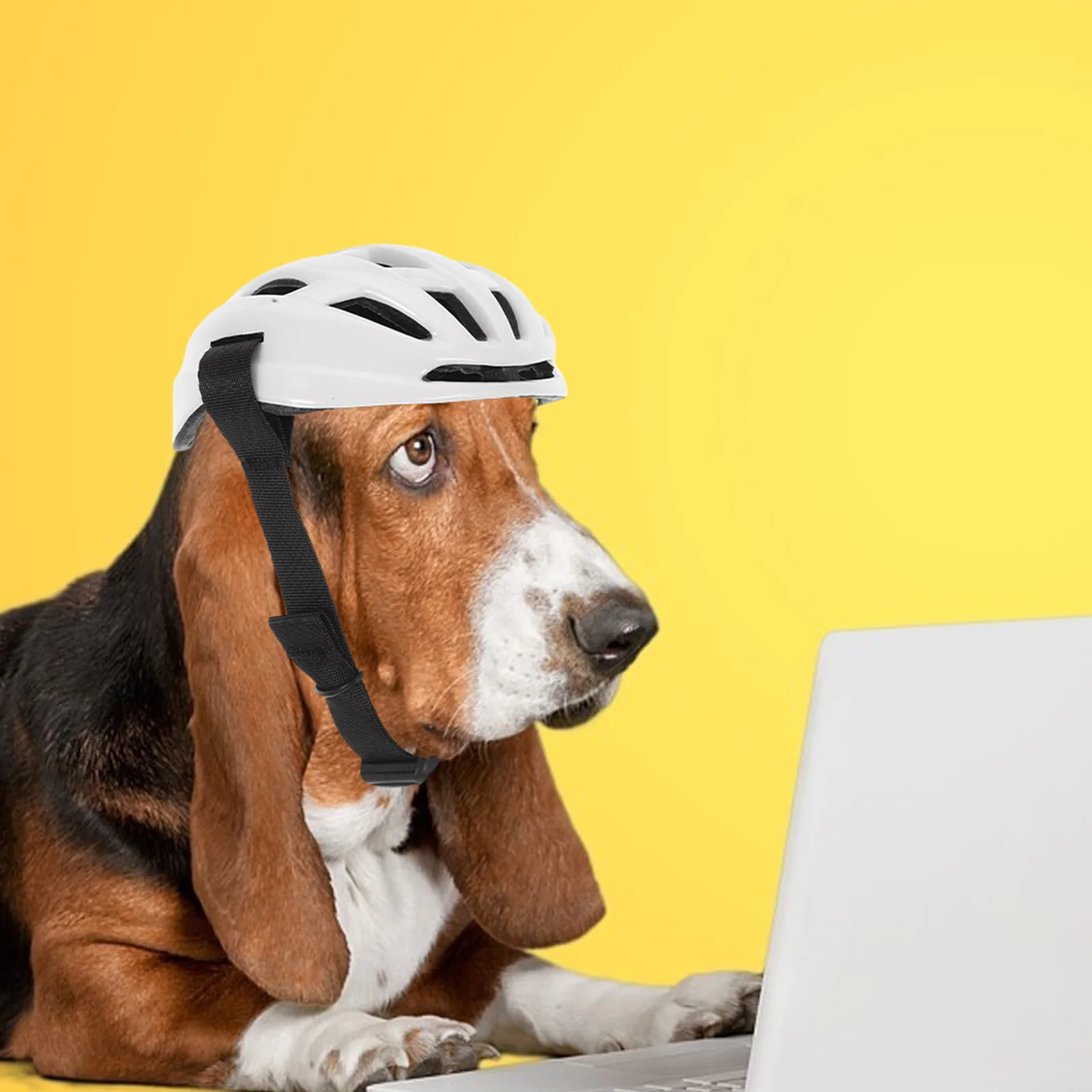 

Adjustable Pet for Small Medium Large Dogs Outdoor Riding Safety Headgear Comfortable Sturdy Dog Hat Cat