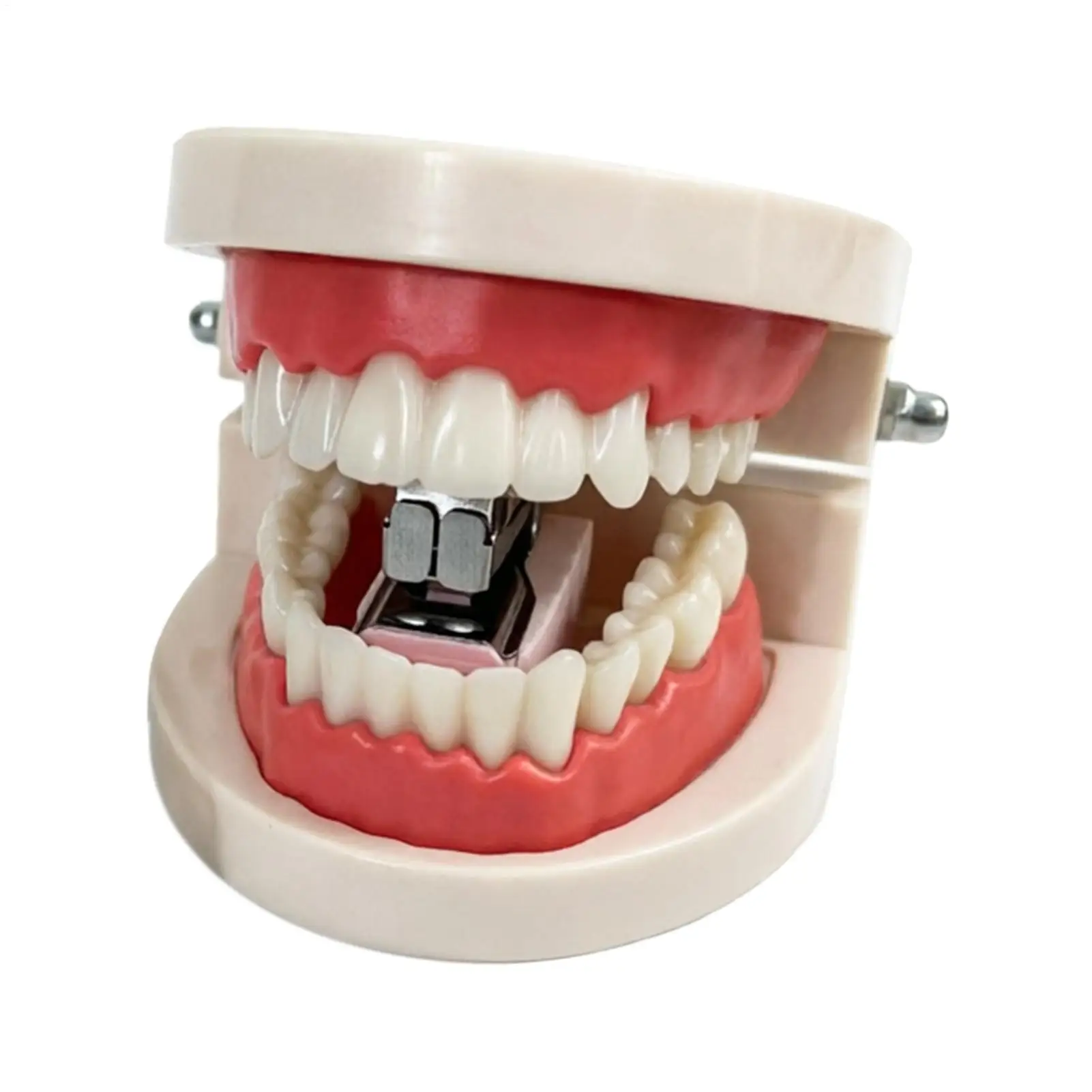 Novelty Denture Stapler Mini Portable Prank Desk Denture Model Fun Shaped Office Paper Stapler Portable Handheld Small Stapler