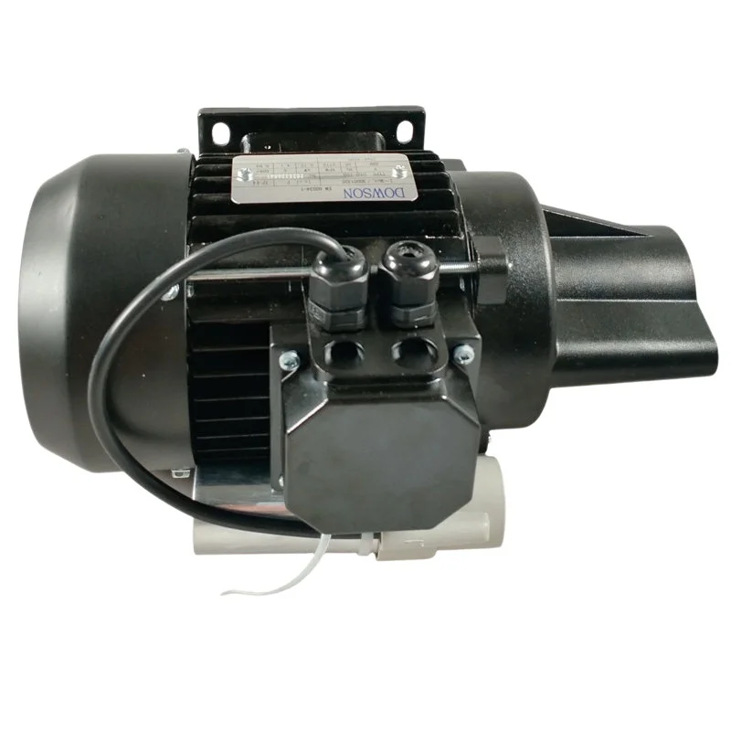 RLS70 RLS100 RLS130 RLS150 RLS190 RLS250 Burner Fuel Pump Drive Motor