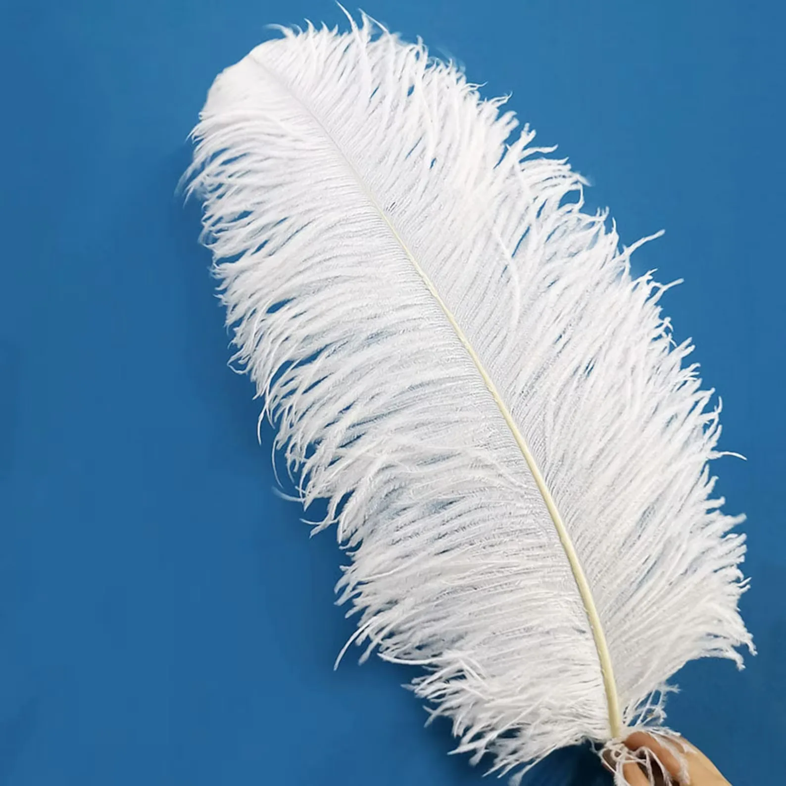 10pcs/lot Ostrich Feathers 15-60CM White Black for Crafts Wedding Decoration Party Handicraft Carnival Plumas