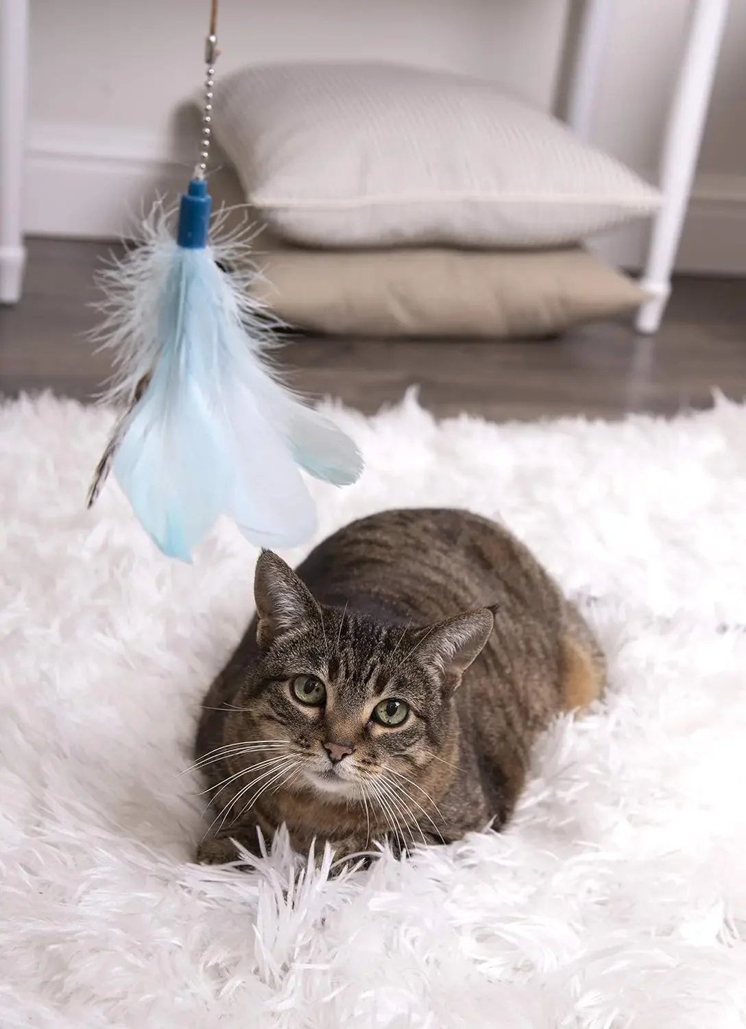 

Игрушка для кошек Frisky Flyer Feather Wand, выдвижная до 24 дюймов — синяя, один размер